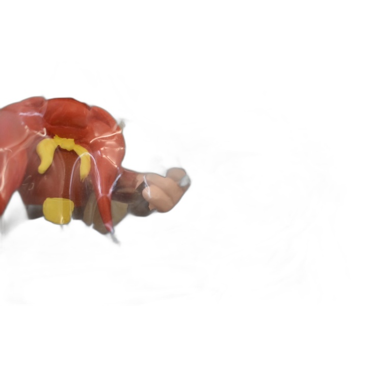 Yosemite Sam Le Pirate - Figurine Warner Bros Looney Tunes - Sam le Pi