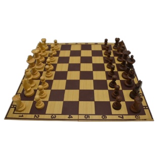 Pièce d'Échecs Roi 7cm - Coffret Bois Vintage - Occasion Jeu Classique