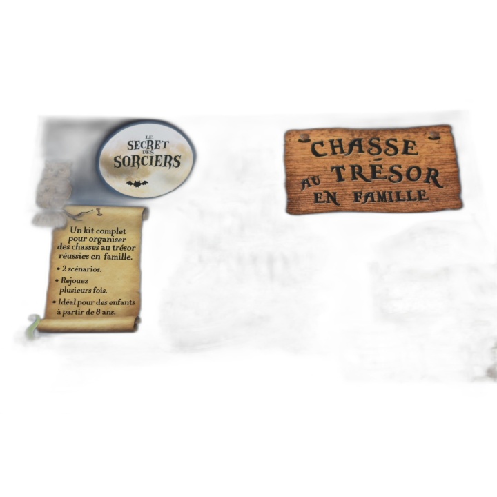Chasse au Trésor en Famille - Larousse - 2 Scénarios Pirates & Sorcier