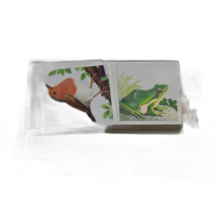 Memory Les Animaux - Ravensburger - Jeu de Mémoire Enfant - 2 Joueurs