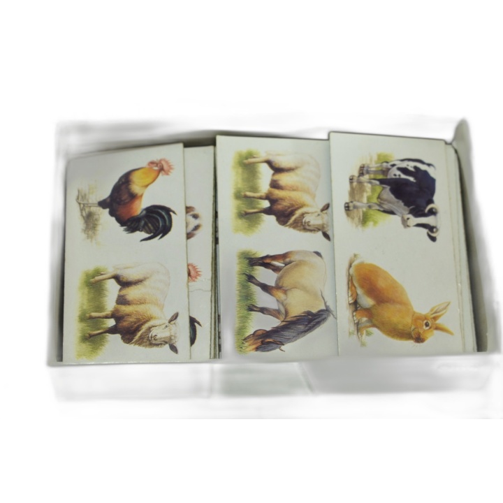 Domino Animaux Ravensburger - Jeu Enfant Association Images 2-4 Joueur