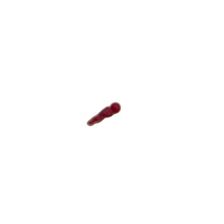 Queue cochon rouge - Le Cochon Qui Rit Dujardin