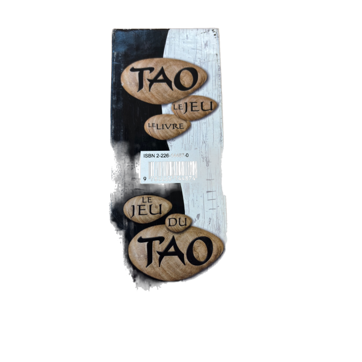Le Jeu du Tao - Taovillage - Jeu de reflexion developpement 14