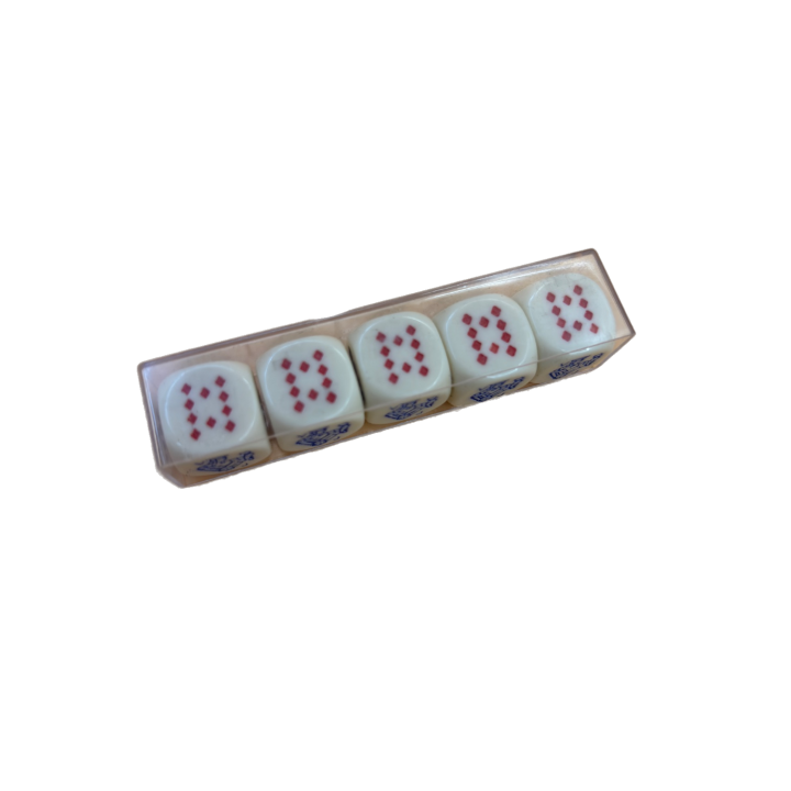 Jeu de Poker Dés - 5 dés cartes à jouer - Jeu de dés 8 ans 2-6