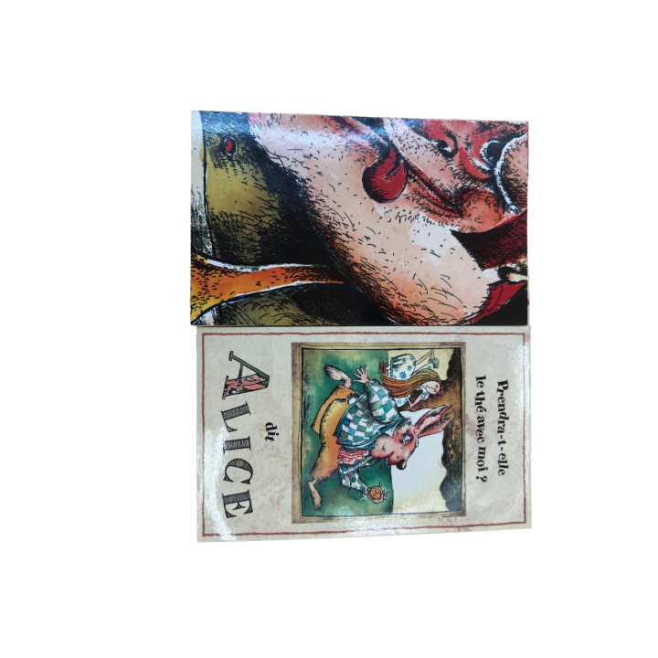 La Lettre Manquante - Seuil Jeunesse - Jeu de cartes educatif 6