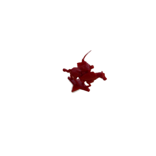 Figurine noble rouge - Warrior Knights - Pièce détachée