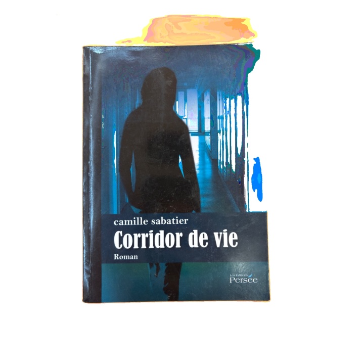 Corridor de vie - Camille Sabatier - Roman francais - Occasion
