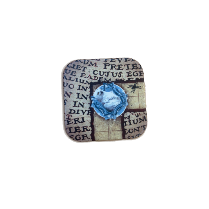 Carte Hedwige — Harry Potter Labyrinth — Ravensburger