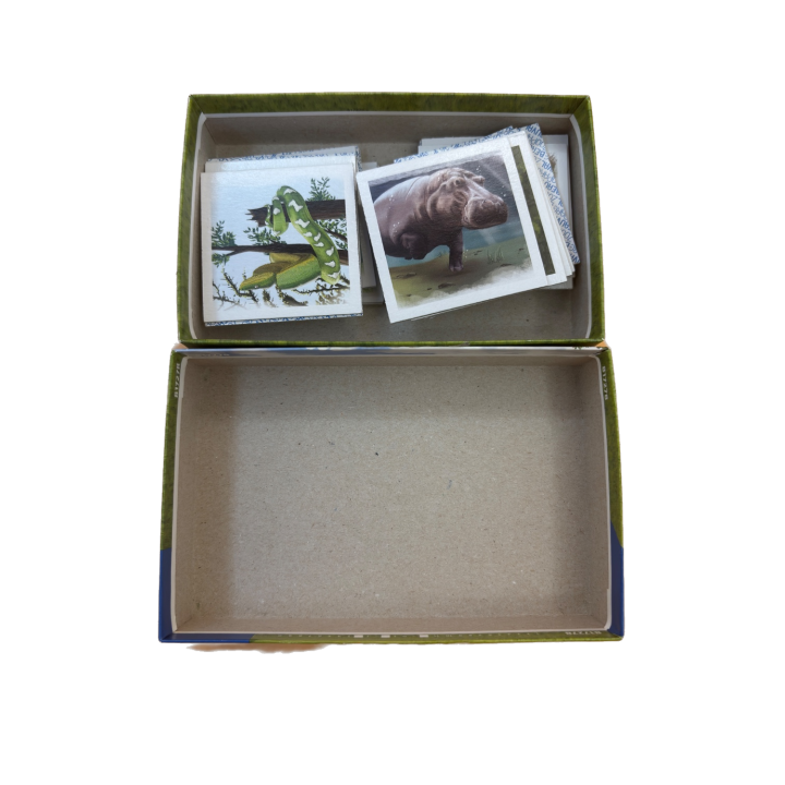 Memory ZooParc Beauval - Ravensburger