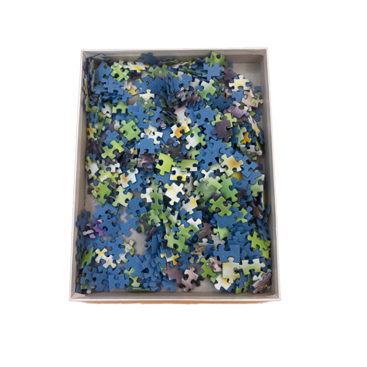 Kitten in the Meadow - Ravensburger - Puzzle 500 pièces Chaton