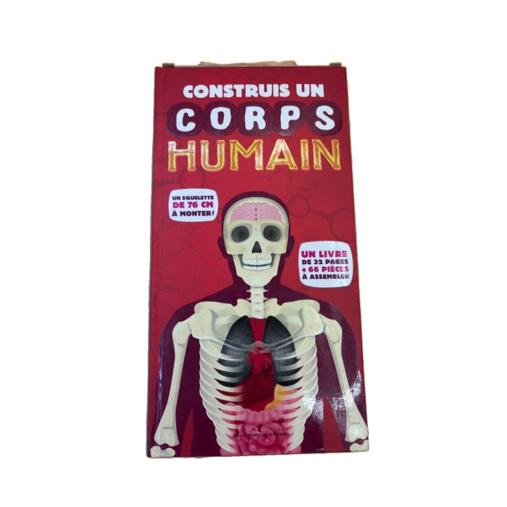Construis un Corps Humain - Gallimard - Maquette Anatomie 76cm