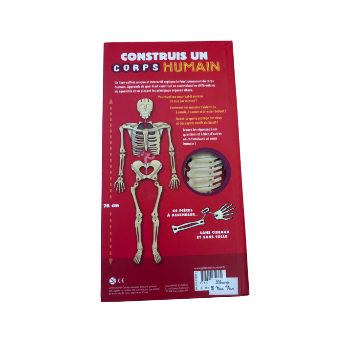 Construis un Corps Humain - Gallimard - Maquette Anatomie 76cm