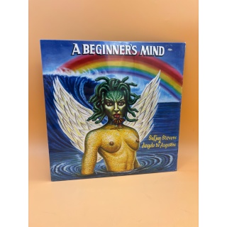 A Beginner's Mind - Sufjan Stevens & Angelo De Augustine