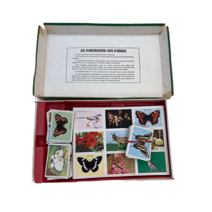 Loto des Petits - Jeu Observation Nature Vintage