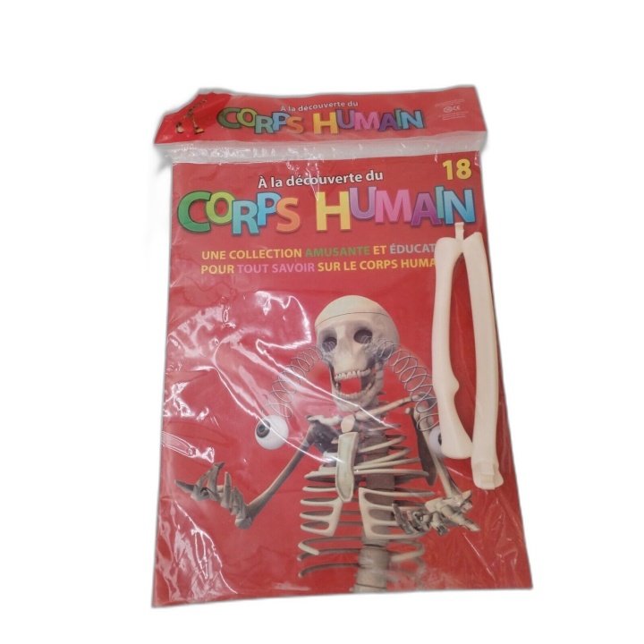 À la Découverte du Corps Humain N°18 - Collection Éducative Enfant - F