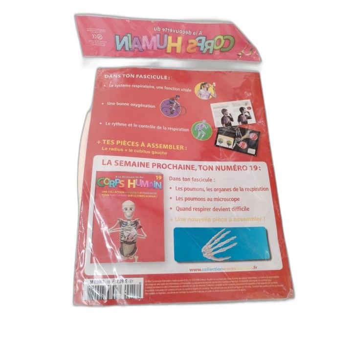 À la Découverte du Corps Humain N°18 - Collection Éducative Enfant - F