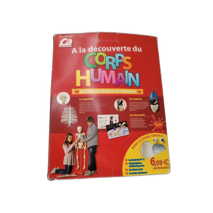 À la Découverte du Corps Humain - Ça M'intéresse - Maquette Crâne Éduc