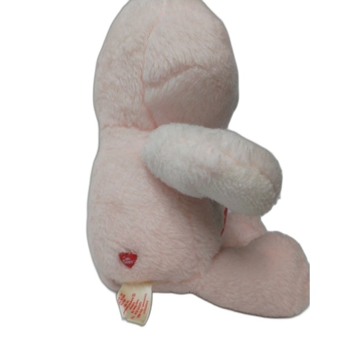 Bisounours Cheer Bear Peluche Rose Arc-en-Ciel Vintage - Collector Ann