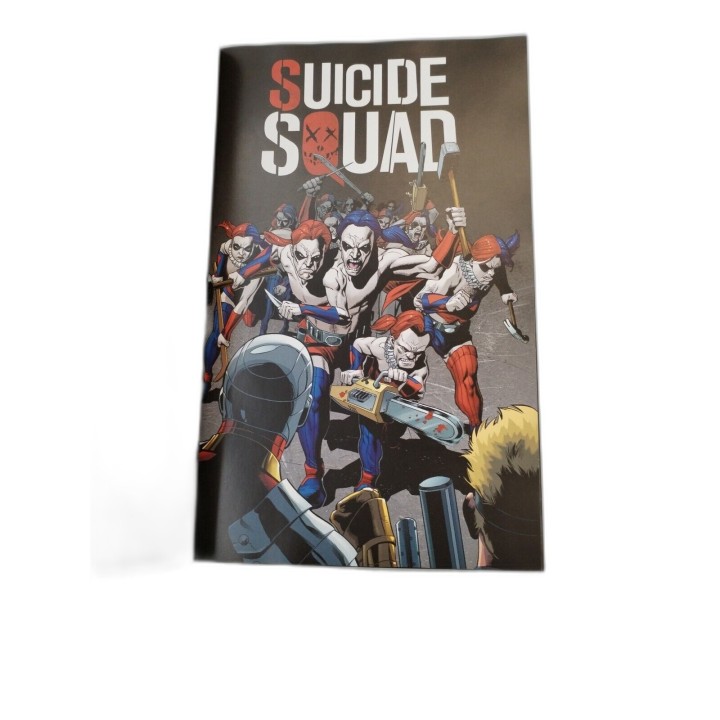 Suicide Squad Tome 1 Têtes Brûlées - BD DC Comics Urban Comics - Adam