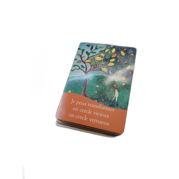 La Loi de l'Attraction - Cartes Oracle Esther & Jerry Hicks - Guy Tréd