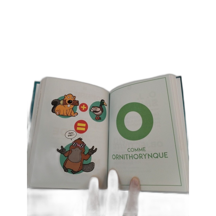 McFly & Carlito - Le Dictionnaire Moderne - Livre Humour - Éditions Mi
