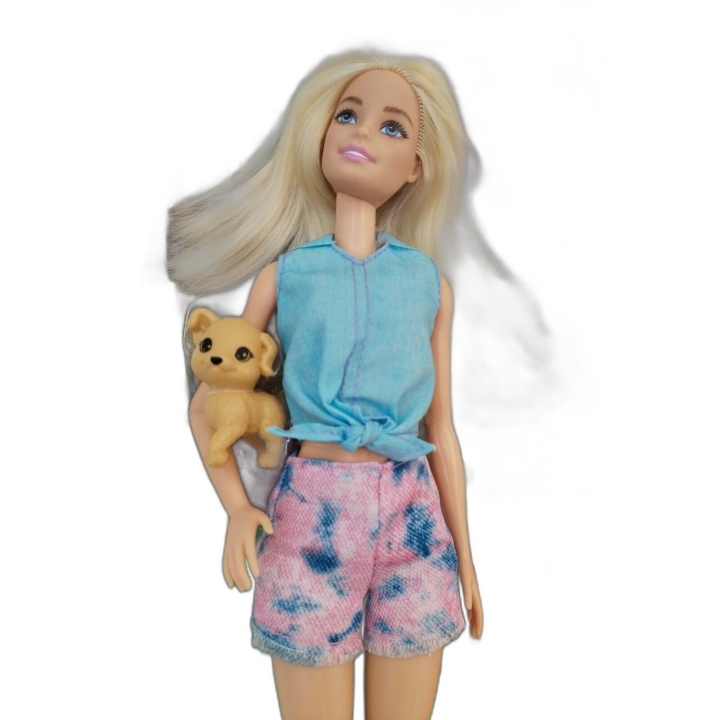 Barbie Camping Mattel - Poupée Blonde avec Chiot & Accessoires Camping