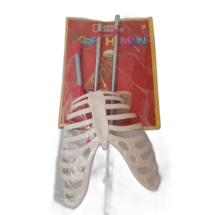 National Geographic Corps Humain N°9 - Maquette Squelette Thorax - Fas