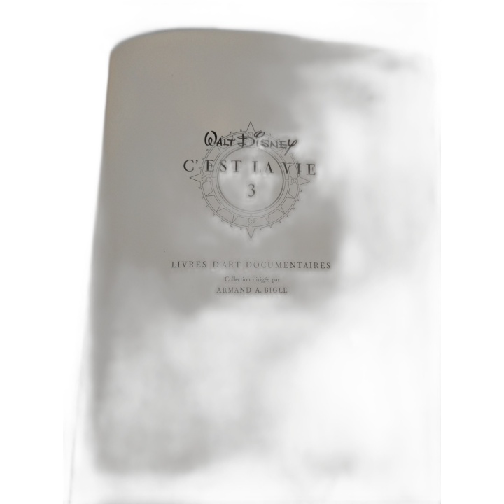 Walt Disney - Lions d'Afrique - Livre Illustré Jeunesse Nature - Colle