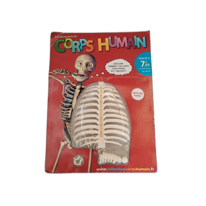 À la Découverte du Corps Humain - Fascicule N°3 + Pièces Squelette - C