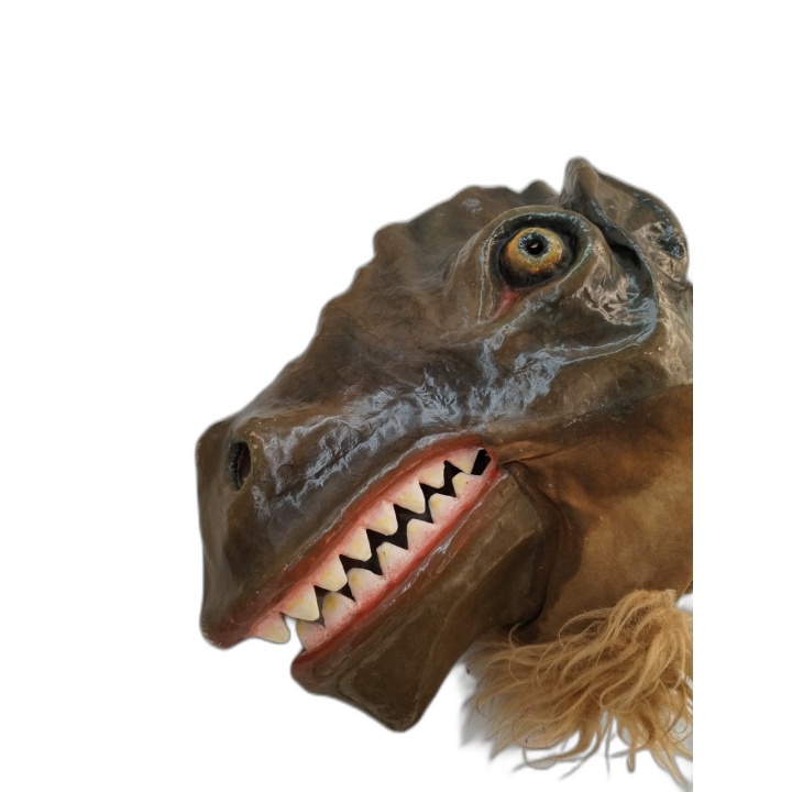 Costume Dinosaure Géant Taille Adulte Complet - Tête Papier Mâché - Oc