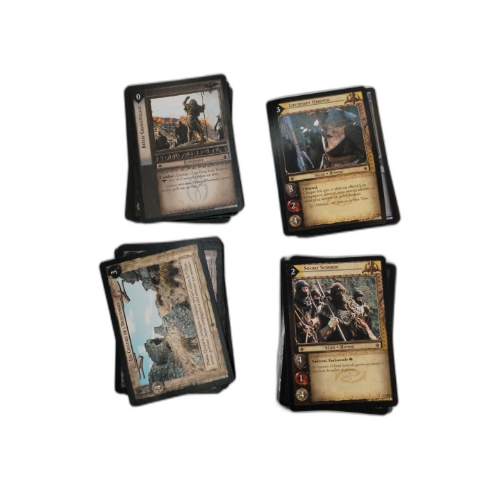 Gros Lot 305 Cartes Lord of the Rings TCG VF - Seigneur des Anneaux Tr