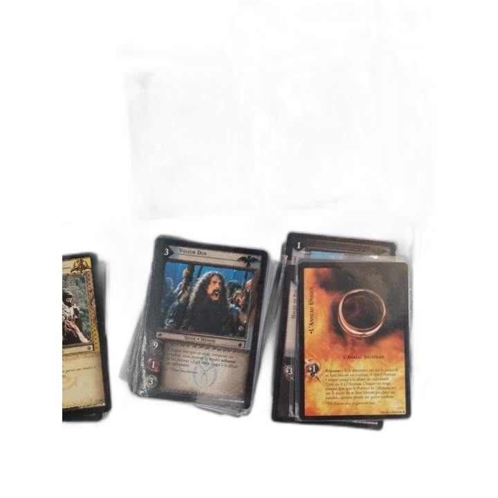 Gros Lot 305 Cartes Lord of the Rings TCG VF - Seigneur des Anneaux Tr