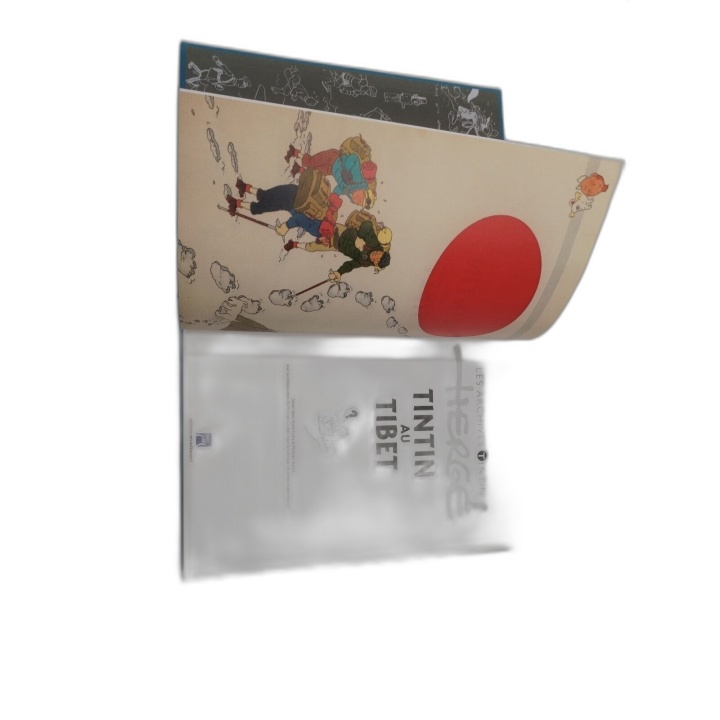 Les Archives Tintin au Tibet - Hergé - Éditions Moulinsart - Livre Col